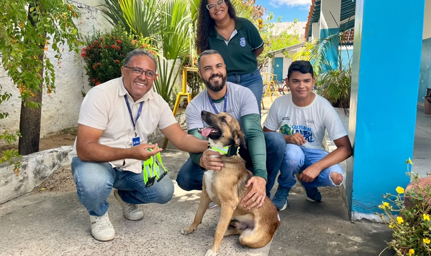 Animais de rua atendidos pela SUPATAS recebem Coleiras Reflexivas em mais uma ação da prefeitura