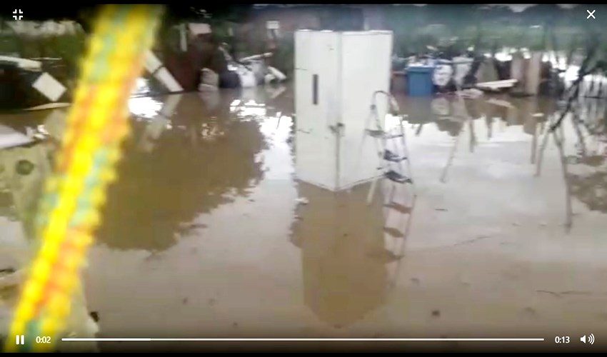 Sem título